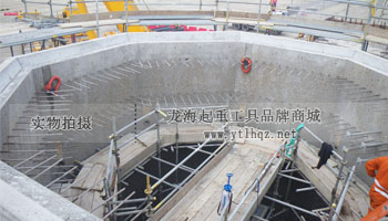 CODIPRO MEGA DSS+旋轉吊環使用案例圖一