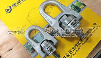 CODIPRO SS.DSR型不銹鋼旋轉吊環實物圖一